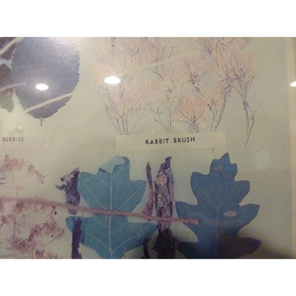 Vintage Framed Navajo Plant Dye Chart Print Ella Myers - Picture 7 of 9